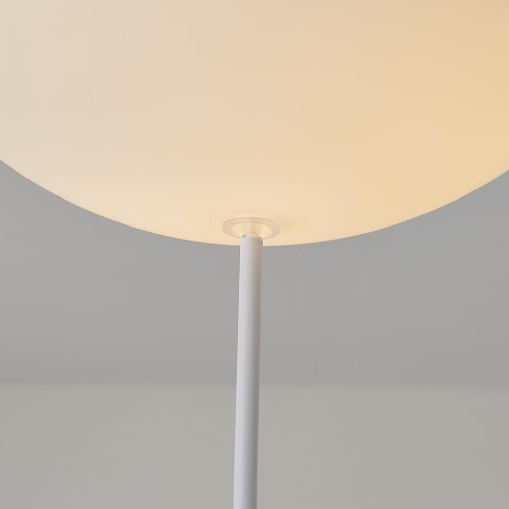 Maanreis LED Plafondlamp